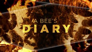 A Bee's Diary's poster