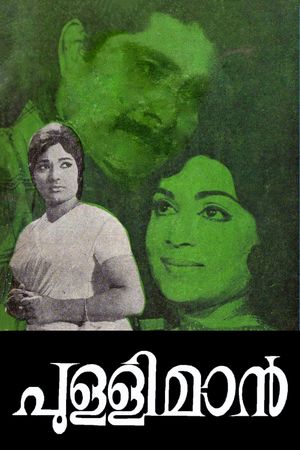 Pullimaan's poster image