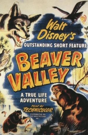 Beaver Valley's poster