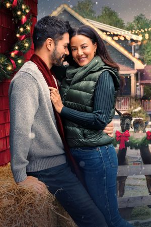 Christmas Under the Lights's poster