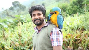 Ayalaan's poster
