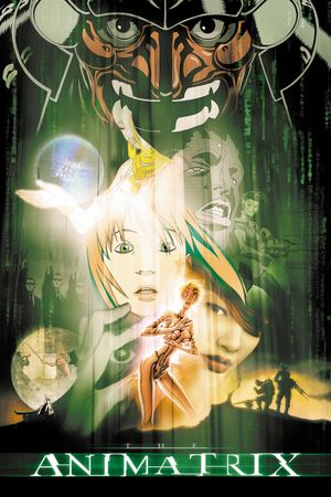 The Animatrix's poster