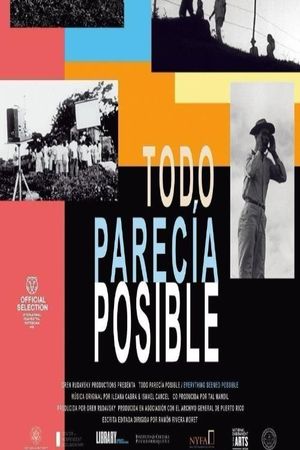 Everything Seemed Possible's poster