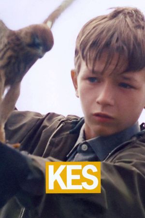 Kes's poster
