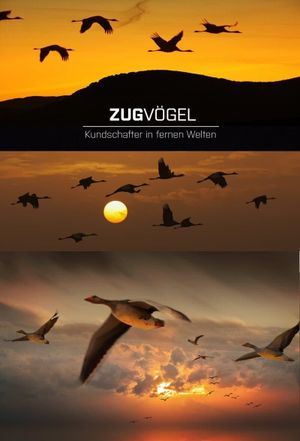 Zugvögel - Kundschafter in fernen Welten's poster