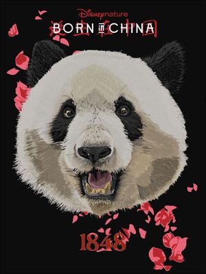 Born in China's poster