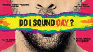Do I Sound Gay?'s poster