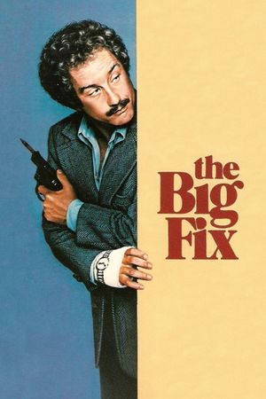 The Big Fix's poster