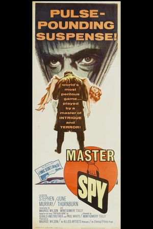 Master Spy's poster