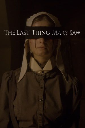 The Last Thing Mary Saw's poster