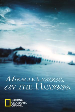 Miracle Landing on the Hudson's poster