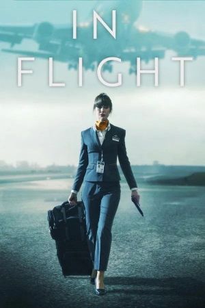 In Flight's poster