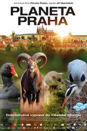 Planeta Praha's poster
