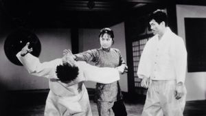 Lady Kung Fu's poster