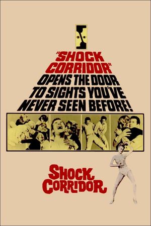 Shock Corridor's poster
