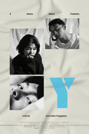 Y's poster