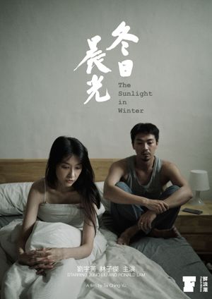The Sunlight in Winter's poster