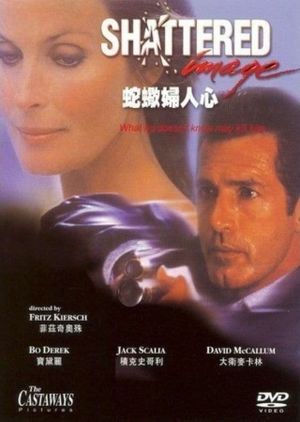 Shattered Image's poster