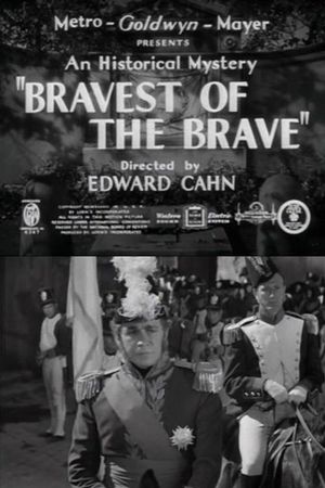 Bravest of the Brave's poster image
