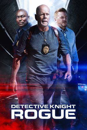 Detective Knight: Rogue's poster image