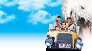 The Shaggy Dog's poster