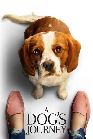 A Dog's Journey's poster