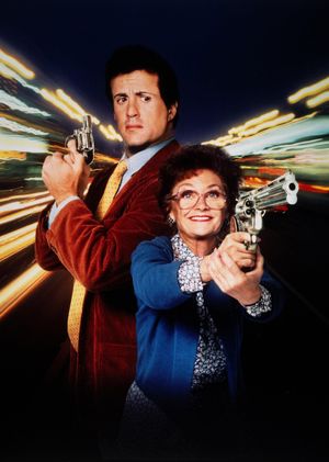 Stop! Or My Mom Will Shoot's poster