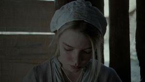 The Witch's poster