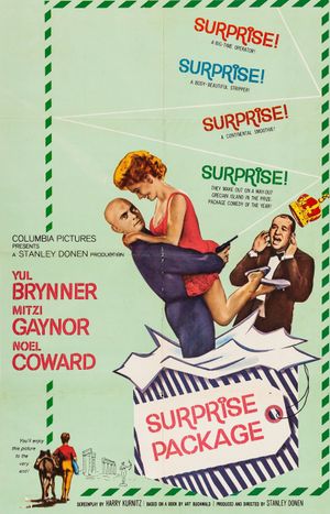 Surprise Package's poster