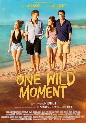 One Wild Moment's poster