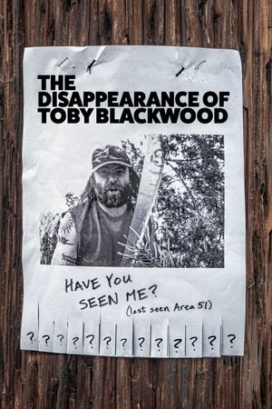 The Disappearance of Toby Blackwood's poster