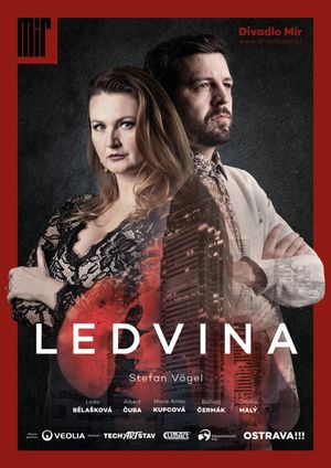 Ledvina's poster