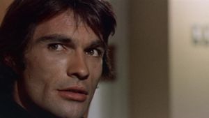 The Violent Professionals's poster