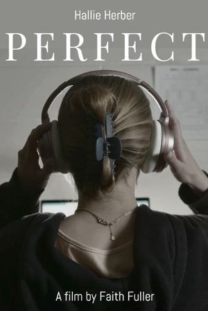 Perfect's poster image