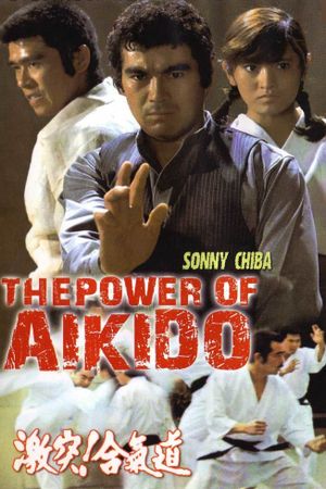 The Defensive Power of Aikido's poster