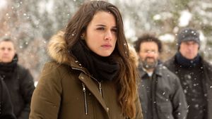 Palm Trees in the Snow's poster