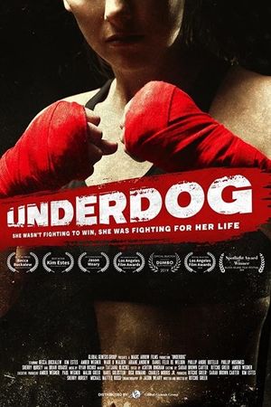 Underdog's poster