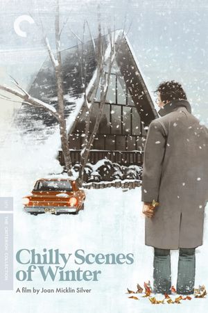 Chilly Scenes of Winter's poster