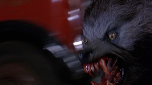 An American Werewolf in London's poster