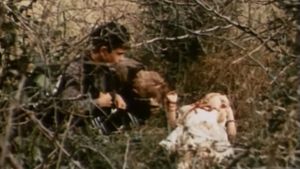 Among Grey Stones's poster
