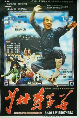 The Shaolin Brothers's poster