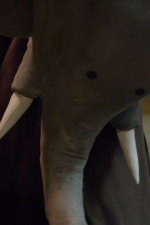 Un éléphant me regarde's poster