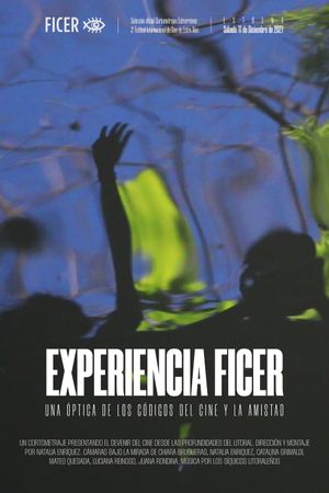 Experiencia FICER's poster