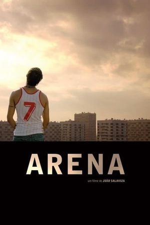 Arena's poster
