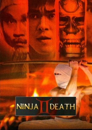 Ninja Death II's poster