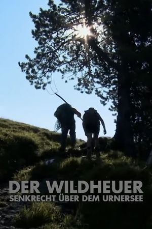 Der Wildheuer's poster