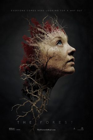 The Forest's poster