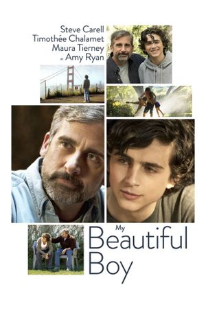 Beautiful Boy's poster