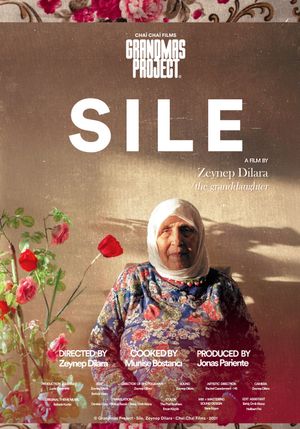 Şile's poster