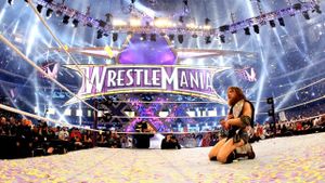 Journey to WrestleMania: Daniel Bryan's poster